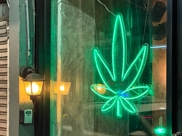 Marihuana legal in Barcelona: So konsumieren Sie sicher im Cannabis Club