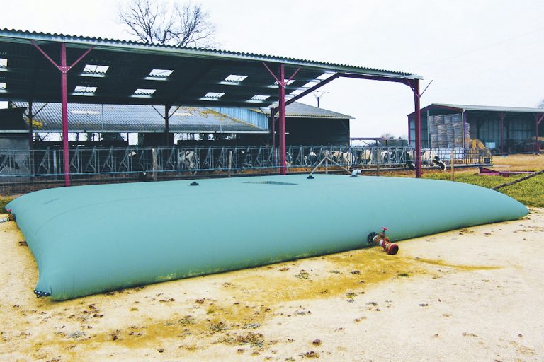 Regenwasserzisternen24: Flexible Speicherlösungen für die Regenwassernutzung